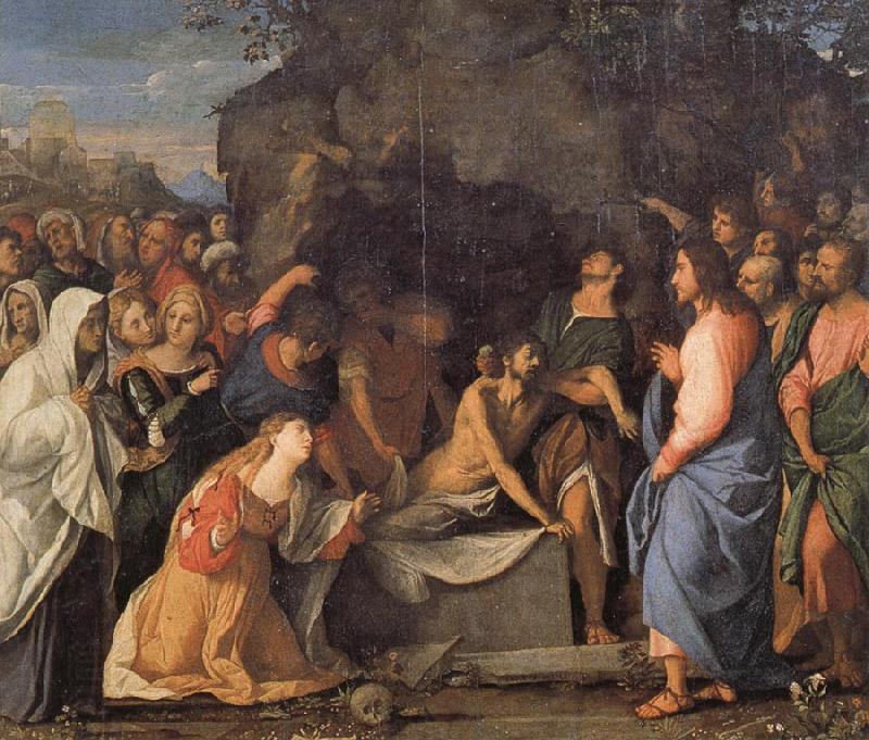 Palma Vecchio The Raising of Lazarus oil painting picture
